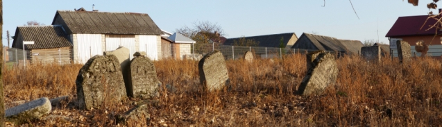 Frampol - cmentarz ydowski