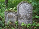 Macewy na cmentarzu ydowskim w Jzefowie Bigorajskim