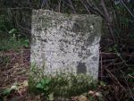 Krasnystaw - cmentarz ydowski