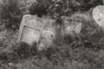 cmentarz ydowski w Oleszycach