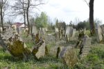 Oleszyce - cmentarz ydowski