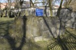 Ostrowiec witokrzyski - lapidarium na cmentarzu ydowskim