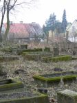 Pask - widok oglny cmentarza ydowskiego