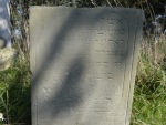 Macewa na cmentarzu ydowskim w Przasnyszu