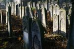 Radomsko - nagrobki na cmentarzu ydowskim