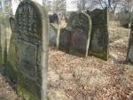 Szydowiec - nagrobki na cmentarzu ydowskim