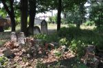 Cmentarz ydowski w Tomaszowie Mazowieckim Jewish cemetery in Tomaszow Mazowiecki