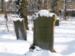Toszek - cmentarz ydowski