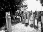wejcie na cmentarz ydowski w Wadowicach