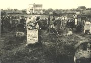 Warka - cmentarz ydowski