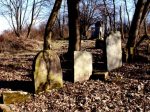 Cmentarz ydowski w Wieliczce Jewish cemetery in Wieliczka